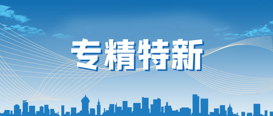 球信网旗下朴颐化学被评选为2021年度上海市“专精特新”企业
