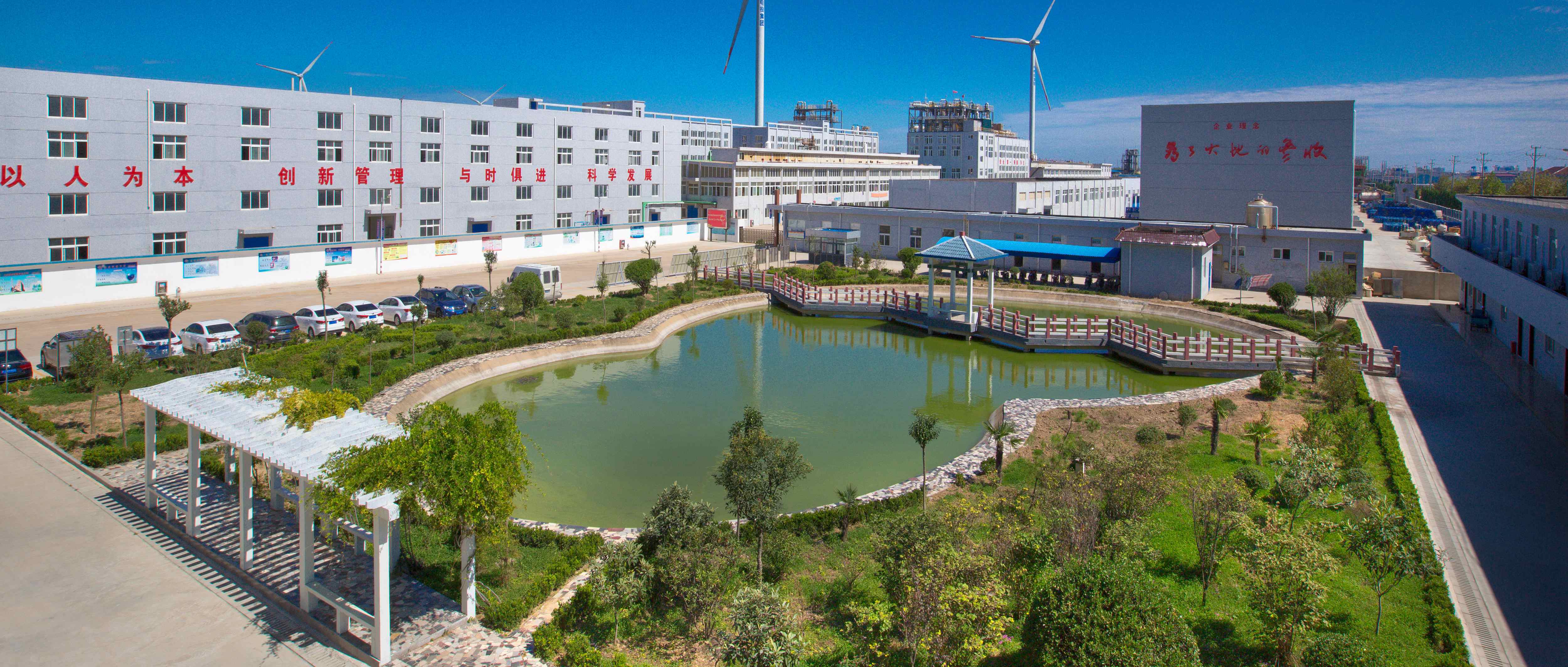 雅者为正 建农兴业 ——对话球信网股份有限公司蔡彤董事长