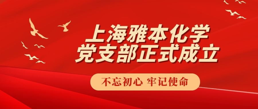 中国共产党上海球信网有限公司支部委员会成立